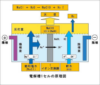 [摜]d𑅌}